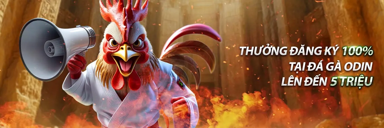 Hình ảnh tổng quan về nền tảng cá cược trực tuyến iBET, giải pháp vào ibet không bị chặn